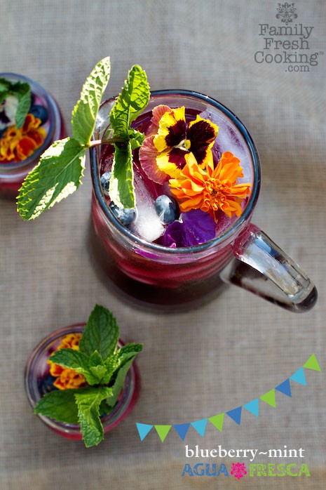 Blueberry-Mint-Agua-Fresca-Marla-Meridith-IMG_7933